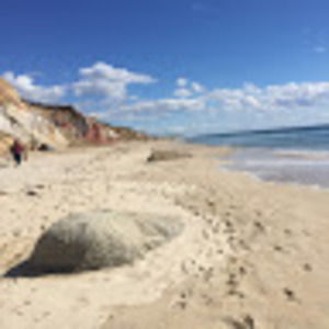 Meet your Posher, Sue-anne